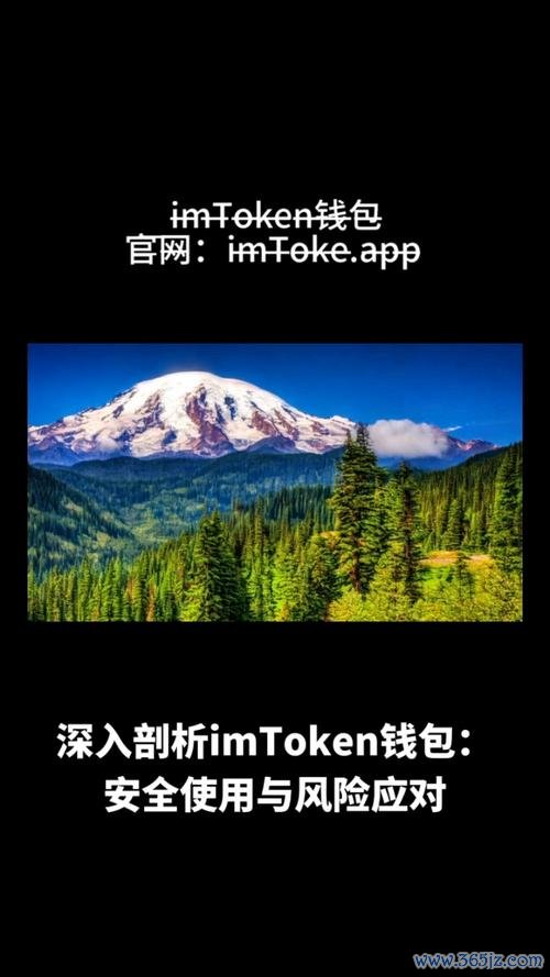 钱包测试_钱包测试大概需要多久_imToken钱包APP的市场评测与分析工具